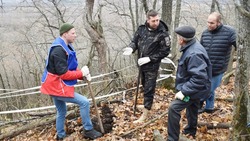 Сотрудники заповедника «Белогорье» провели «спецоперацию» по спасению  краснокнижного растения