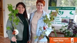 Патриотическая акция «Саженцы победной весны» стартовала в Новооскольском округе