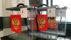 Избирательная комиссия Белгородской области признала выборы законными и действительными