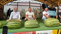 Материал