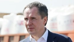 Вячеслав Гладков сообщил о распределении 350 млн рублей поддержки для бизнеса Белгородской области