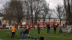 Новооскольцы приняли участие во Всероссийском экологическом субботнике