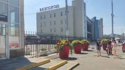 Привокзальную площадь в Белгороде преобразят: проект оценили в 8,7 млн рублей