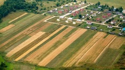 584,5 млн рублей выделено в Белгородской области на развитие сельских территорий в 2024 году