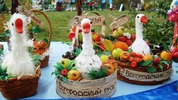 Новооскольцы и гости округа побывали на фестивале народной культуры «День Гуся» в селе Богородское