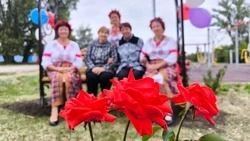 Новая зона отдыха появилась в хуторе Севальный Новооскольского муниципального округа