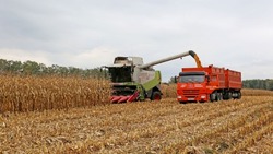 Вячеслав Гладков поздравил белгородских аграриев с рекордным урожаем зерновых культур