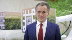 Вячеслав Гладков вошёл в состав президиума Госсовета
