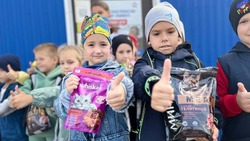 Новоооскольские молодогвардейцы провели серию благотворительных акций для помощи бездомным животным