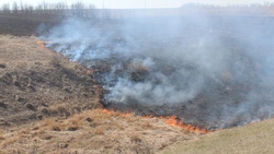 Костёр, ну и что?! Ландшафтные пожары участились в Новооскольском округе