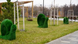 Новые элементы ландшафтного дизайна появились в Центральном городском парке Нового Оскола