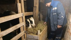  Николай Зеленцов из села Можайское Новооскольского округа стал участником программы «Содействие»