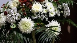 Вячеслав Гладков поздравил с юбилеем совместной жизни супругов Ельчаниновых