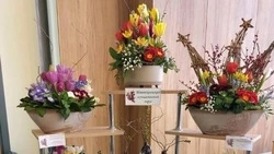 Новооскольские юннаты заняли призовые места на областной выставке цветочно-декоративных растений