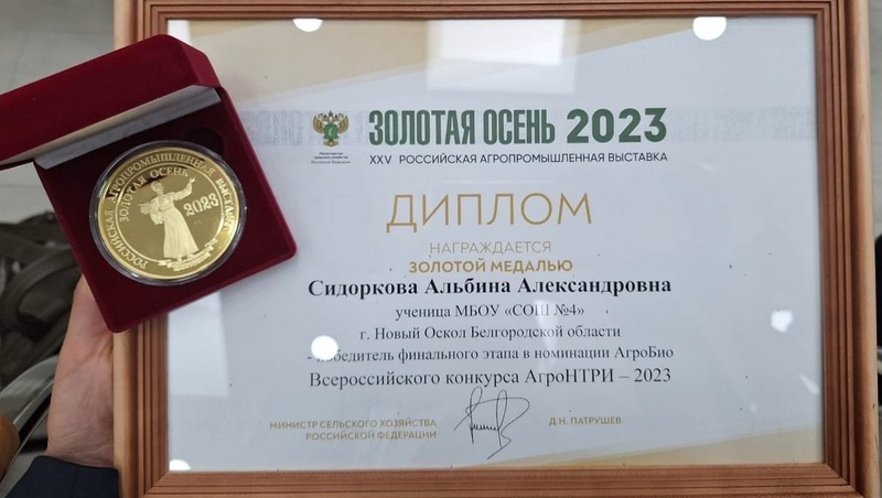 Сколько номинаций в агронтри 2024. Сколько номинаций в агронтри 2024