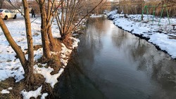 Общественная приёмка работ по расчистке участков реки Беленькая прошла в Новооскольском округе