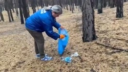 Новооскольский округ присоединился к областному субботнику