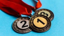 Новооскольские школьники стали победителями и призёрами регионального этапа фестиваля «Леонардо»