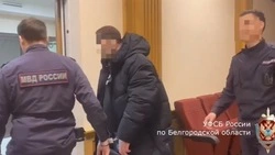 50-летний житель Новооскольского округа по указке кураторов хотел взорвать гранату