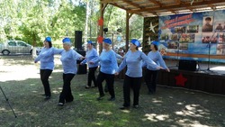 Фестиваль патриотической песни «Герои в нашей памяти живут» встретил гостей в селе Боровки