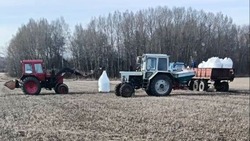 Аграрии Новооскольского городского округа приступили к весенне – полевым работам