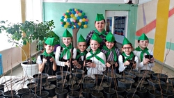 Школьные лесничества Новооскольского округа вырастят саженцы для ландшафтного озеленения