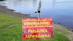 Внимание – нерест!