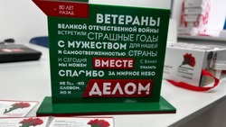 Волонтёры Победы распространят 5 тыс. значков в рамках акции помощи ветеранам «Красная Гвоздика»