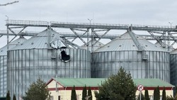 Вячеслав Гладков: ещё пять белгородских предприятий вошли в число резидентов СЭЗ