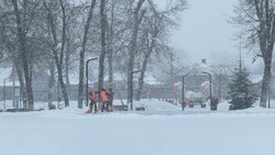 Вячеслав Гладков отметил важность увеличения числа снегоуборочной техники в крупных городах области