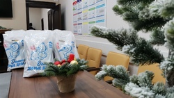 Депутаты областной Думы поздравили новооскольских медиков с наступающим Новым Годом