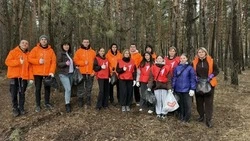 Волонтёры привели в порядок урочище «Ливенская сосна» в рамках месячника добровольного служения