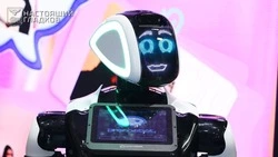 Белгородская область стала лидером рейтинга цифровой трансформации регионов