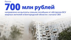 Власти Белгородской область выделили почти 700 млн рублей на помощь семьям погибших при обстрелах 