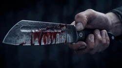 Новоосколец предстанет перед судом за угрозу убийством и нанесение ножевых ранений 