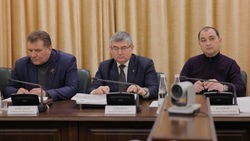 Вячеслав Гладков провёл совещание с главой Новооскольского горокруга 