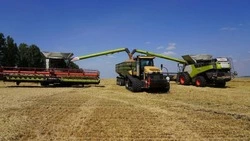Александр Шуваев сообщил о завершении уборочной кампании ранних зерновых культур в регионе