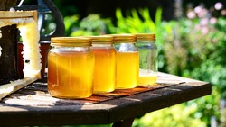 Новооскольцы смогут принять участие в фестивале мёда