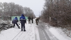 Уборка камыша и поросли деревьев стартовала в Новооскольском городском округе