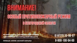 Особый противопожарный режим продлён на территории Белгородской области