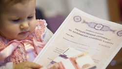 Белгородские семьи направили более 50 млн рублей маткапитала на образование детей в 2023 году