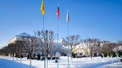 Новооскольский колледж стал одним из центров регионального этапа чемпионата «Профессионалы»