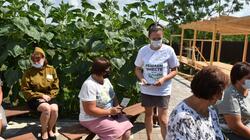 Новооскольцы приняли активное участие в губернаторском проекте «Решаем вместе»