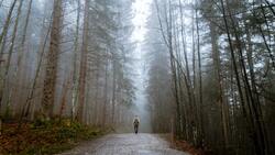 Школьники смогут поучаствовать в фотоконкурсе «Сохраним красоту Белгородских лесов»
