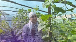 Новооскольчанка Сабрина Дадаева продолжила развивать семейный бизнес в рамках программы «Содействие»