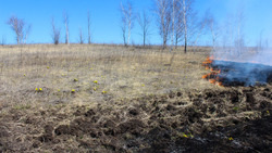 Новооскольские пожарные напомнили об опасности травяных палов