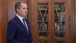 Вячеслав Гладков рассказал президенту о стратегии развития образования в Белгородской области