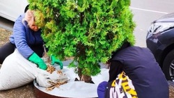 Новооскольские коммунальщики начали активно готовить город к зиме