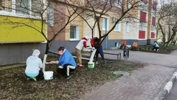В Новооскольском округе подвели итоги очередного дня месячника добровольного служения