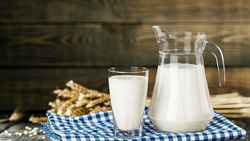 Белгородская область сохранила лидирующие позиции по среднесуточному надою молока